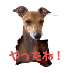 Yuka_20211213124747