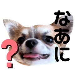 Ayumi_20211213142818