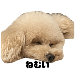 yamada_20211213145524