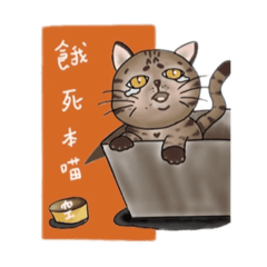 喵主子心情日常