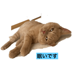 HSK STUDIO_20211213154836