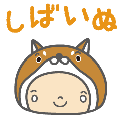 Cute Japanese dog shiba-inu