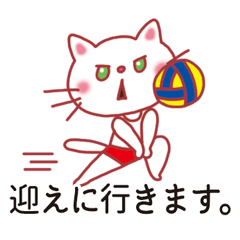 Cat volleyball sticker