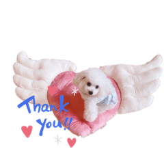 chisa_20211213231447