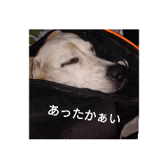 HIKARI_20211213235405