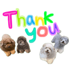 Shiho_20211214010533