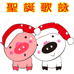 Black and white pigs warm Christmas