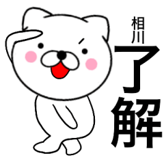 Name cat Aikawa