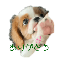 yuka_20211213220216