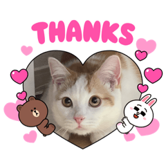 tomomi_20211214013835