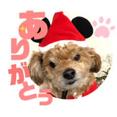 Kinaco_20211213204207