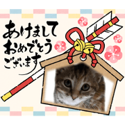 kurumi_20211213213341