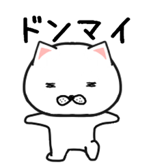 しろたん1573号
