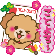 2018 Toy poodle New Year and daily life