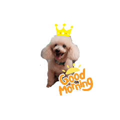 Honey_20211213162927