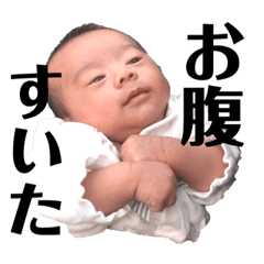 hikari_20211214125547