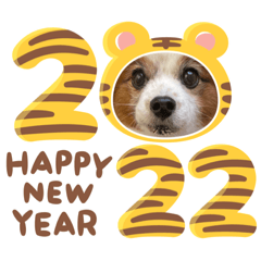 Mary_2022