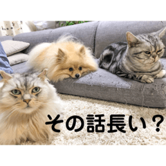 KAORI_20211214151943