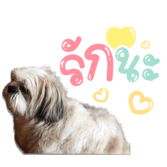 Iamnook_20211214094132