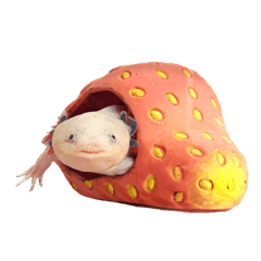 Axolotl Upapi