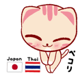 แมวน้อย สื่อสารภาษาญี่ปุ่นและภาษาไทย