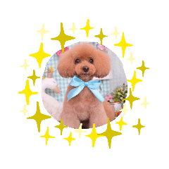 HIKARI_20211214175740