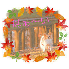 yukari_20211214201951