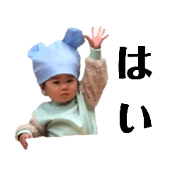 ◉‿◉◉‿◉◉‿◉