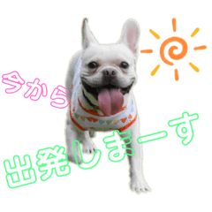 miki_20211214231506
