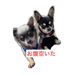 hona_20211214184448