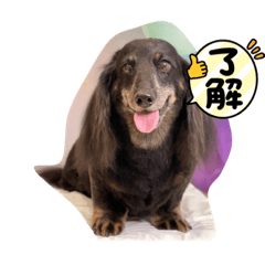 yuto_20211214220726