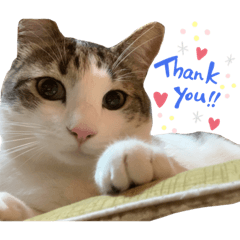 kichi_20211214182405