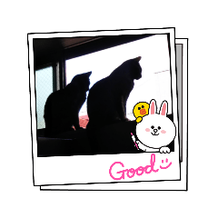 matsu_20211215113618