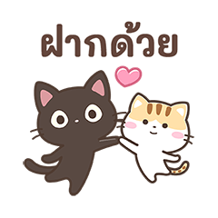 Black cat & Calico cat:Loose&Cute(thai)