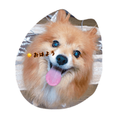 JohnKUN