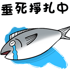 Funny daily life of salted fish
