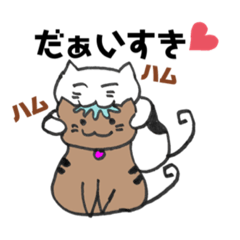 nekotanekomi_20211215170225