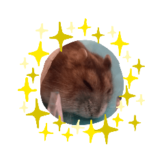 kaito_20211215205752