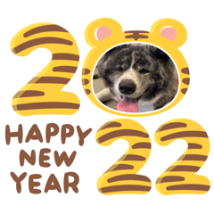 akiko_20211215232025