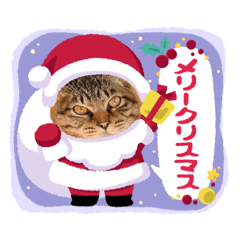 sayuri_20211216101646