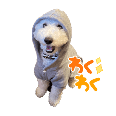 omochi_20211215235215