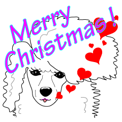 with Dogs, at Christmas 2 : Toy Poodle