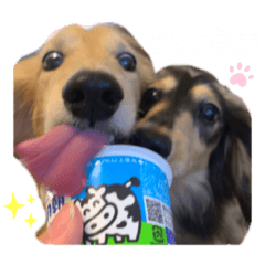 miki_20211216101523