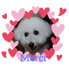YUKA_20211216124224