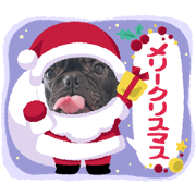 FrebullRinta501ch_ winter