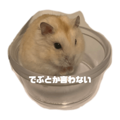 yunmnn