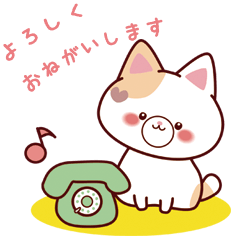 Polite tricolor cat