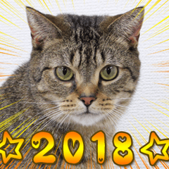 Catcafe RONRON New year Sticker