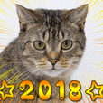 猫カフェロンロン広島店スタンプ Line スタンプ Line Store