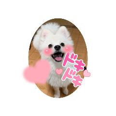 michiko_20211216142834